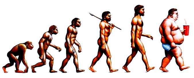 Paleo Diet Progression