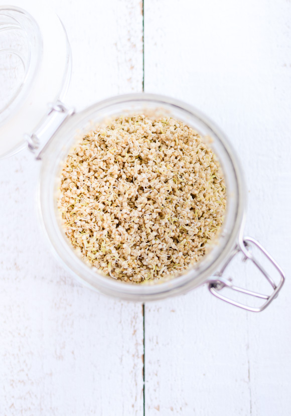 sprouted quinoa crisp-040